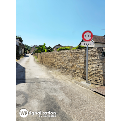 Panneau d'interdiction B13 - Limitation de tonnage personnalisable_3