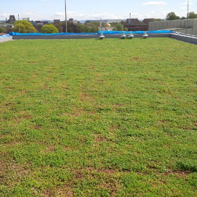 Membrane d'étanchéité RENOLIT ALKORPLAN Green - Toiture verte optimisée pour habitations et locaux_3