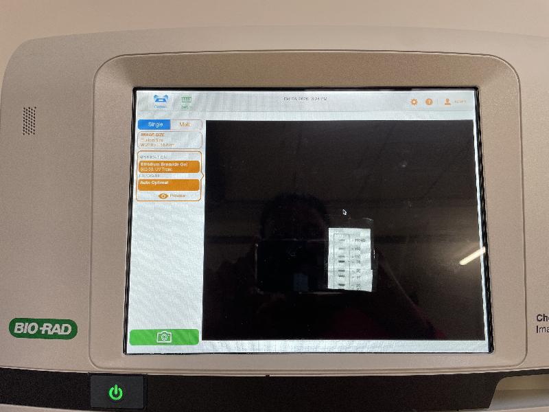 Imageur BioRad ChemiDoc MP Imaging System_3