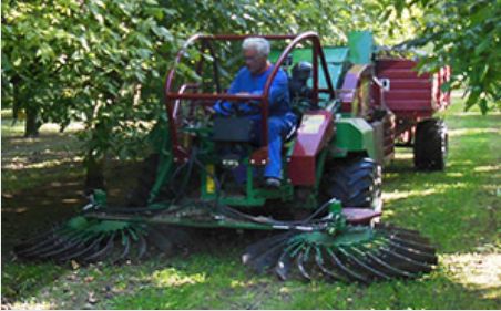 Récolteuse automotrice SEMEK 1000 - FACMA S.R.L - moteur diesel 56 à 59.8 kW - capacité 2000 à 4500 kg/h_3