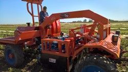 Scorpion - Bineuse automatique automotrice Ferrari - Planche unique ou multiple, avec technologies avancées_3