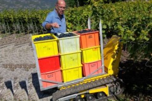 DCT-300P mini-dumper - Alitrak - 600 kg - tout-terrain, compact et électrique_3