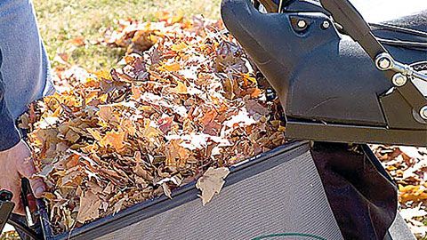 Nettoyeur de pelouse et surfaces dures avec sac de 151 litres