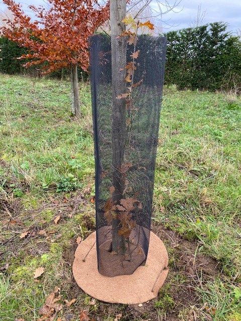 50 disques de paillage en coco - 60 cm - protection des arbres - 100% biodégradable_3