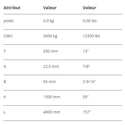 Vsrv 10 - palonnier VIP réglable - RUD - CMU 5600 kg avec suspension et options personnalisées_3