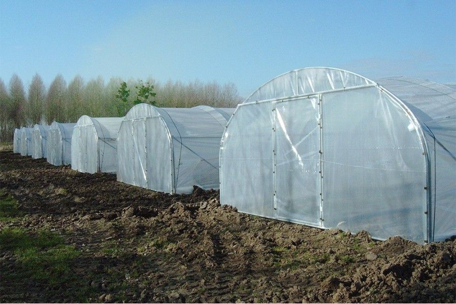 Serre tunnel Val de Loire à pied droit - Longueur 10 m - Pro 5 m_3