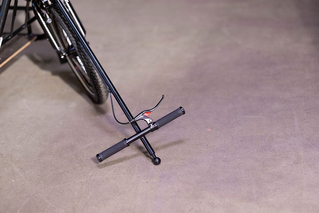 Remorque vélo spécialement conçue pour transporter des palettes Europe - Carla Maxi PRO