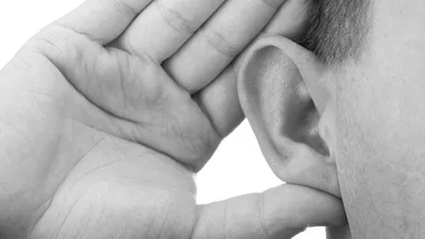 Souffleur      Billy Goat    F1302SPH et F1802SPV_3