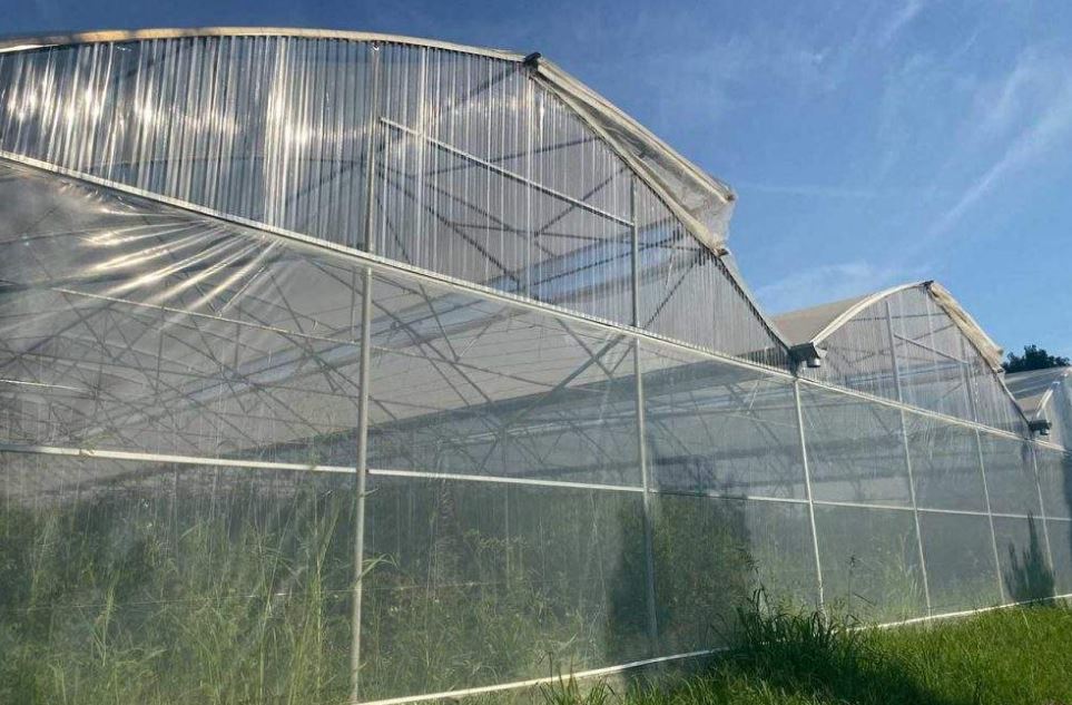 Serre à travées multiples conçue pour la couverture de vastes surfaces - Multimed_3