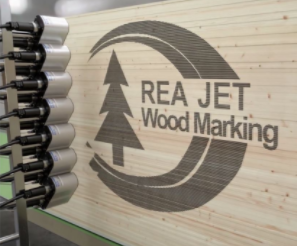 Machine de marquage par jet d'encre REA JET DOD 2.0 - impression grand caractère - vitesse jusqu'à 600m/min_3