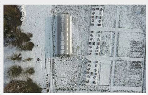 Serre tunnel maraîchère professionnelle à bâche enterrée - Longueur 6 m - TMC60010_3