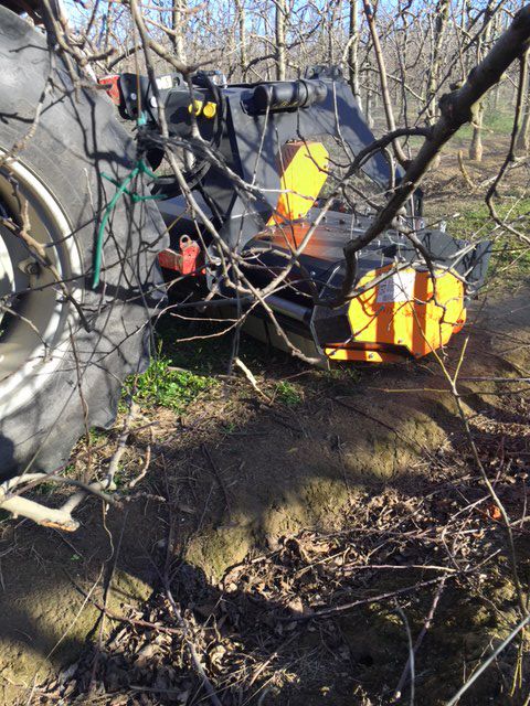 Tgb broyeur forestier - tmc cancela - largeur de travail (cm) 160-220_3