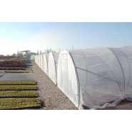 Serre tunnel à pied droit destinée aux horticulteurs et pépiniéristes - Longueur 6m - Val de Loire Pro 4 m_3