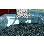 Récolteuse Victor Z - Weremczuk - Baies de groseille, aronia et autres - Productivité 0.3-0.6 ha/h - Vitesse 0.5-2.0 km/h_3