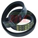 Courroie Gates Agri (0123153) 905980M1.26 - Massey Ferguson - Référence ME-905980M1.26_3