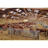 Bâtiment pour vaches allaitantes, sur mesure en bois - Stabulation libre, en aire paillée, en caillebotis, ou mixte_3