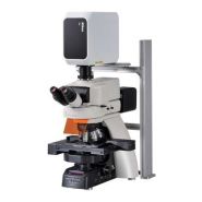 Eclipse Ni-E : microscope droit motorisé avancé pour recherche multidimensionnelle_3