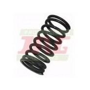 735525m1 ressort intérieur de soupape - Massey Ferguson - référence : PT-44-5_3