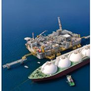 RL 2650 - Grue portuaire offshore Liebherr - Capacité de levage max 60t et portée max 54m_3