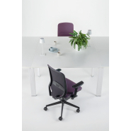 Fauteuil ergonomique BL_3