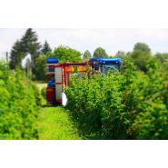 Récolteuse à framboises et myrtilles karen - weremczuk - puissance minimale requise 68 hp - capacité de charge 760 kg_3