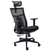 Fauteuil de bureau ergonomique avec appui-tête réglable en hauteur et en inclinaison -ORAXEAT RG400 Noir_3