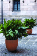 Jardinière en béton Malva CO50 - CO60 - CO80 - CO4080 - CO50110 - PI50 - PI90 - PI6025 - PI8040 - PI9840_3
