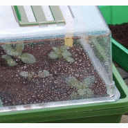 Mini serre chauffante pour semis - 'Heating Grow' - idéale pour vos plantations_3