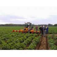 Sb02 - Butteuse agricole ZIBO - Châssis renforcé, rabattage hydraulique, 4 ou 8 rangs avec parallélogrammes_3