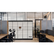 Casiers intelligents de conciliation pour les colis de gros volume - réf Porte H90_3