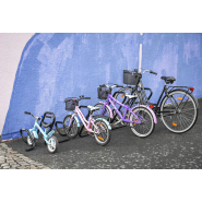 Cycle rack Lyra high pour vélo réf-8090171 - Hags