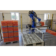 Palettiseurs et dépalettiseurs - Charges légères à lourdes - ID ROBOTIK_3
