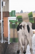 Brosse automatique pour vaches - montée sur parallélogramme - Agriest_3