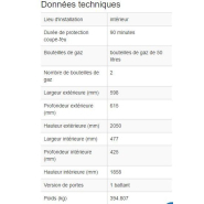 210386w - Armoire coupe-feu G90 pour 2 bouteilles de gaz de 50L - Norme EN 14470-2_3