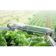 Grand récolteuse autotractée sur chenilles 9200 Lattuga - Ortomec SRL - moteur turbo-diesel 74 CV - personnalisable pour laitues pommées_3