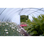 Serre horticole par excellence - BRETAGNE_4