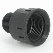 Réduction - Femelle 1