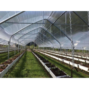 Serre à travées multiples à structure gothique conçue pour les régions soumises à de fortes chutes de neige - Multieasy_3