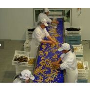 Bandes modulaires - Maas - plastique léger et résistant - largeurs jusqu'à 4 mètres_3