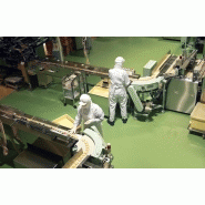 Élévateur agroalimentaire - configurations personnalisées - inox alimentaire et bande transporteuse_3