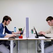 Écran acoustique hautes performances Zazen - 2 hauteurs et 5 largeurs - 100% acoustique, 30 coloris_3