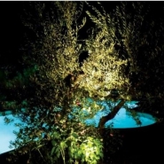 65370 - Projecteur LED puissant sur piquet 10W 800lm en aluminium brossé avec casquette amovible_3