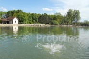 Solution d'aération pour améliorer la vie aquatique dans les lacs
