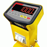 Transpalette peseur - 190322_3