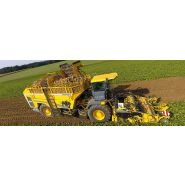 Panther 2 ROPA pour arrachage rapide et efficace des betteraves