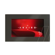 Totem tactile extérieur - FLASH - Parfait pour vos extérieurs, robuste aux températures extrêmes_2