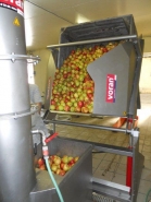 Bc - basculeur de caisse hydraulique en inox - Voran - capacité 550 kg, moteur 2,2 kW_3