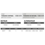 CP-1405 60 Hz triphasé - Groupe électrogène en container Inmesol - 1256 kVA PRP / 1383 kVA LTP_3