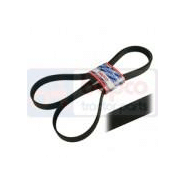 Courroie trapézoïdale durable pour modèles CASE IH D436, D438, D439