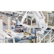 Raptor RAC - Palettiseur robotisé automatique Clevertech France - Compact et flexible pour cartons, sacs et ballots_4